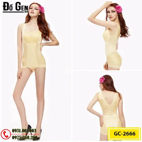 Bộ Đồ Lót Định Hình Bikini Liền Thân Thu Gọn Vòng Eo (Cod: GC-2666)