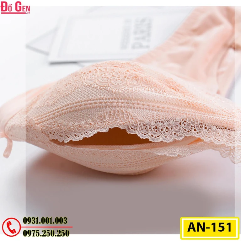 Áo Ngực Không Gọng Cao Cấp AN-151