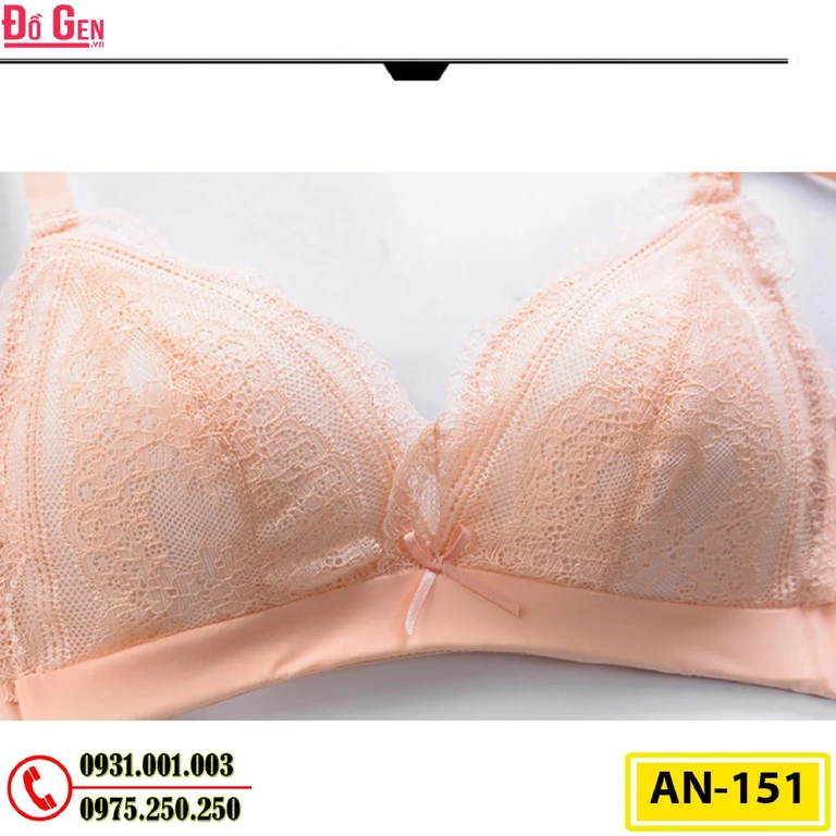 Áo Ngực Không Gọng Cao Cấp AN-151