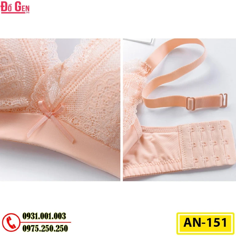 Áo Ngực Không Gọng Cao Cấp AN-151