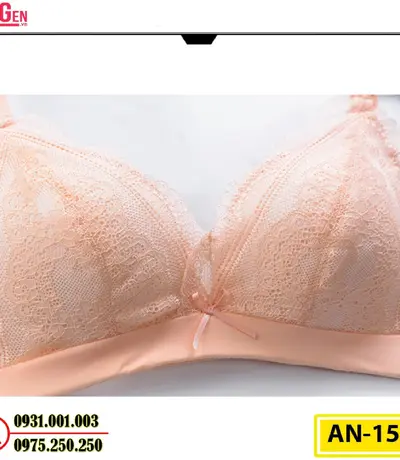Áo Ngực Không Gọng Cao Cấp AN-151