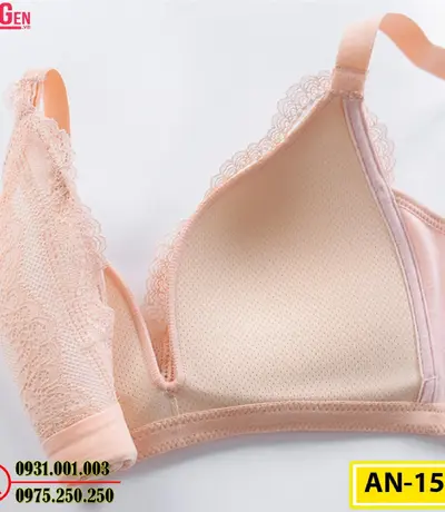 Áo Ngực Không Gọng Cao Cấp AN-151