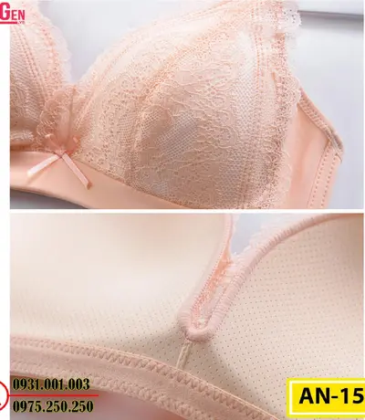 Áo Ngực Không Gọng Cao Cấp AN-151