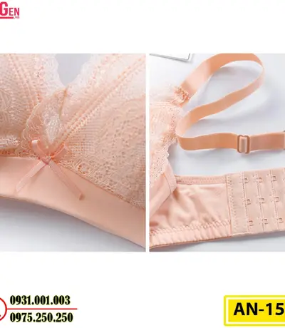 Áo Ngực Không Gọng Cao Cấp AN-151