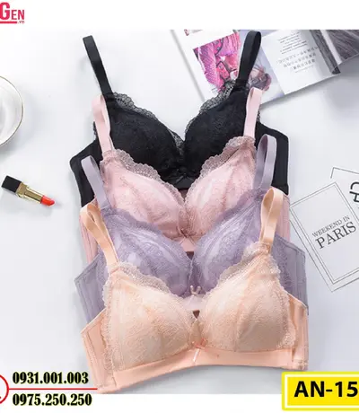 Áo Ngực Không Gọng Cao Cấp AN-151