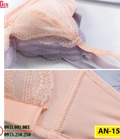 Áo Ngực Không Gọng Cao Cấp AN-151