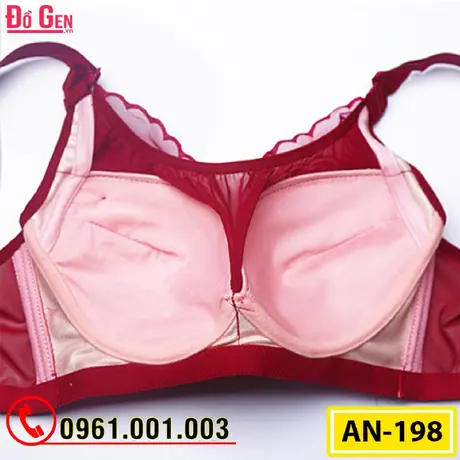 Áo Ngực Không Gọng Cao Cấp AN-198