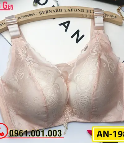 Áo Ngực Không Gọng Cao Cấp AN-198