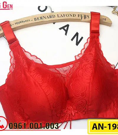 Áo Ngực Không Gọng Cao Cấp AN-198