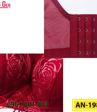 Áo Ngực Không Gọng Cao Cấp AN-198