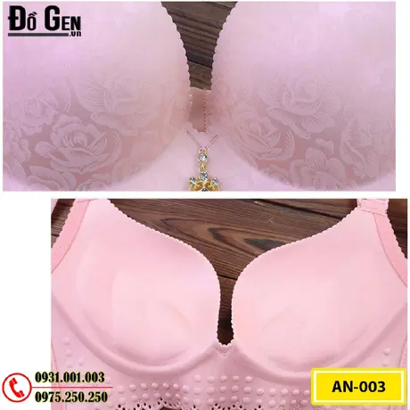 Áo Lót Nâng Ngực Cao Cấp (Cod: AN-003)