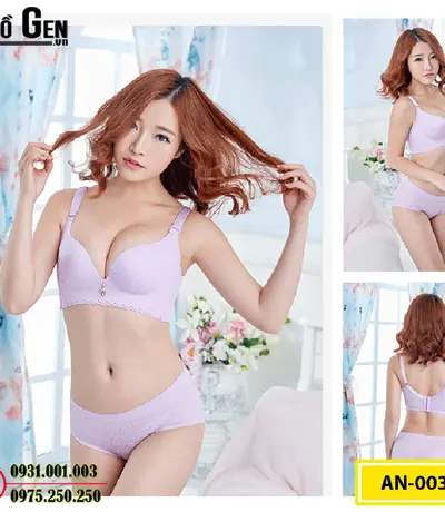Áo Lót Nâng Ngực Cao Cấp (Cod: AN-003)