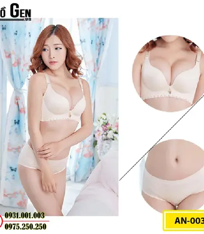 Áo Lót Nâng Ngực Cao Cấp (Cod: AN-003)