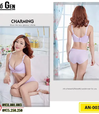 Áo Lót Nâng Ngực Cao Cấp (Cod: AN-003)