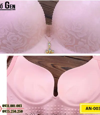 Áo Lót Nâng Ngực Cao Cấp (Cod: AN-003)