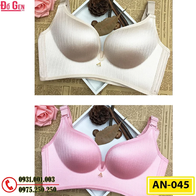 Áo Ngực Không Gọng Cao Cấp AN-045