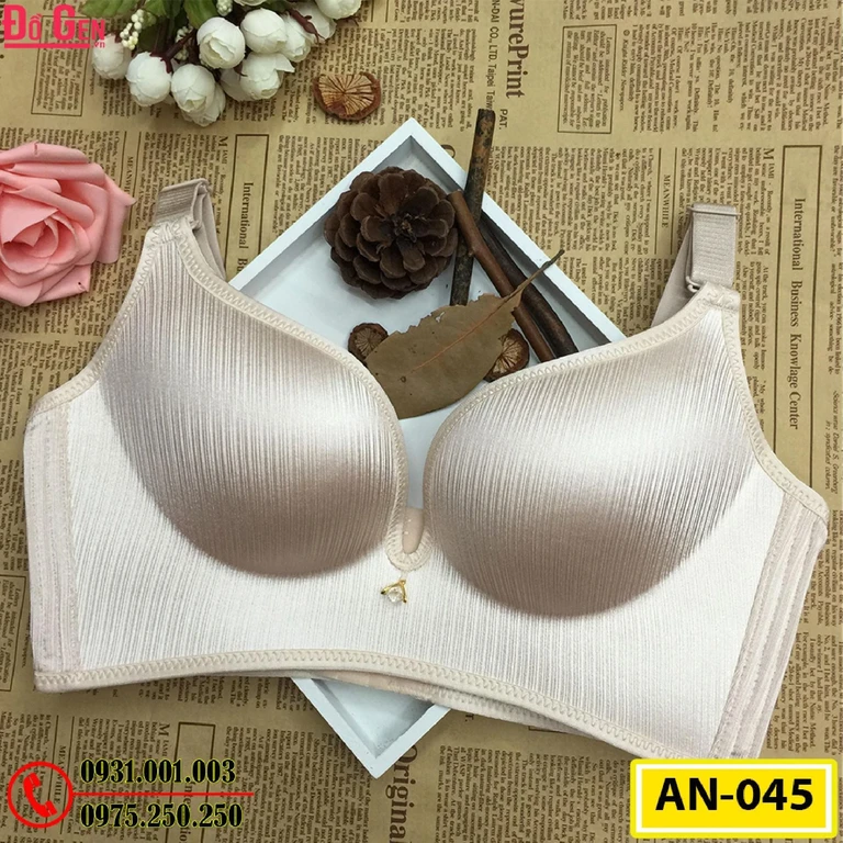 Áo Ngực Không Gọng Cao Cấp AN-045