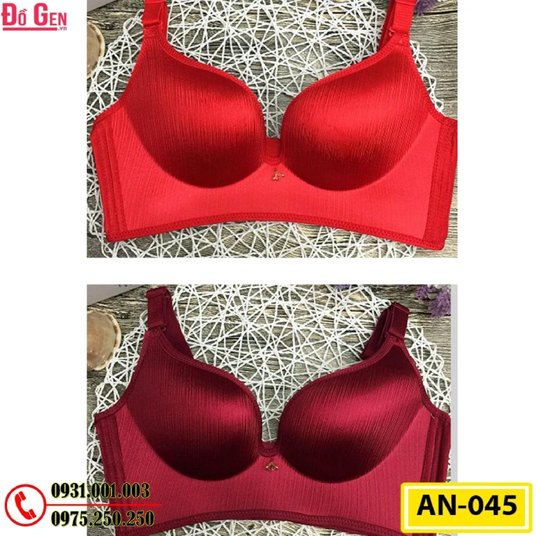 Áo Ngực Không Gọng Cao Cấp AN-045