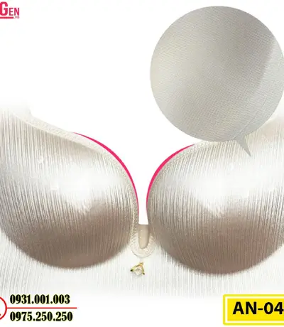 Áo Ngực Không Gọng Cao Cấp AN-045