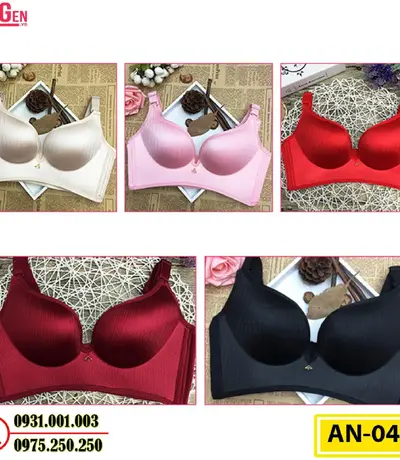 Áo Ngực Không Gọng Cao Cấp AN-045