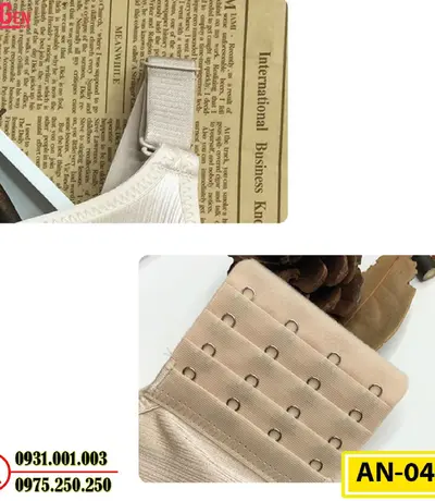 Áo Ngực Không Gọng Cao Cấp AN-045