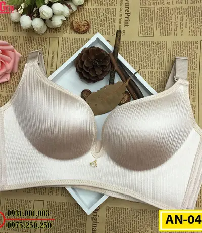 Áo Ngực Không Gọng Cao Cấp AN-045