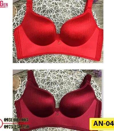 Áo Ngực Không Gọng Cao Cấp AN-045