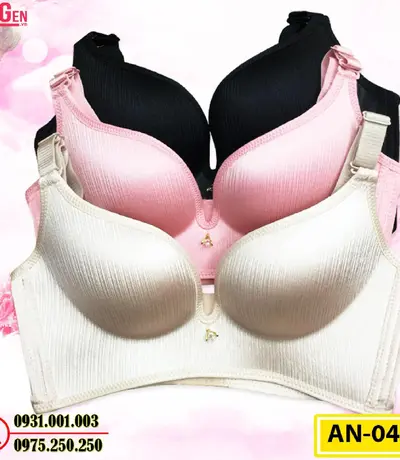 Áo Ngực Không Gọng Cao Cấp AN-045