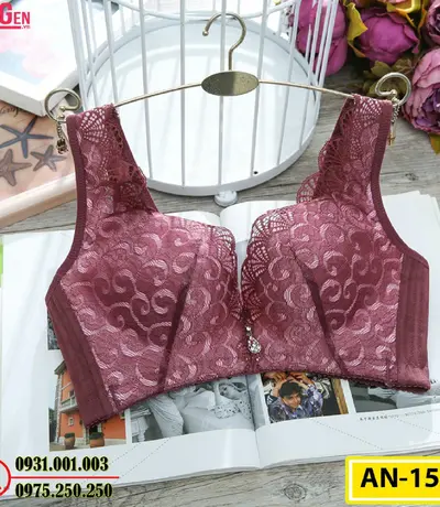 Áo Ngực Không Gọng Cao Cấp AN-153