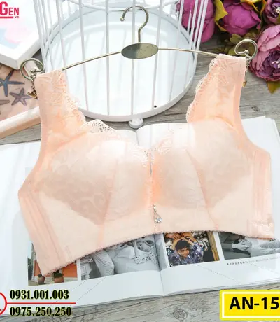 Áo Ngực Không Gọng Cao Cấp AN-153