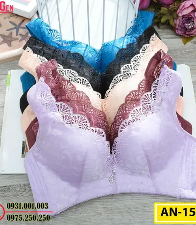 Áo Ngực Không Gọng Cao Cấp AN-153