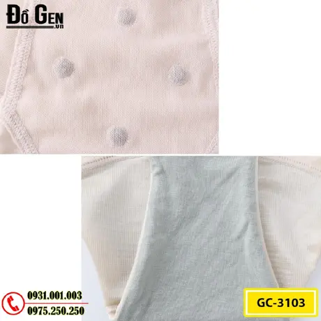 Bộ Đồ Lót Định Hình - Đồ Gen Định Hình Bikini Cao Cấp (Cod: GC-3103)