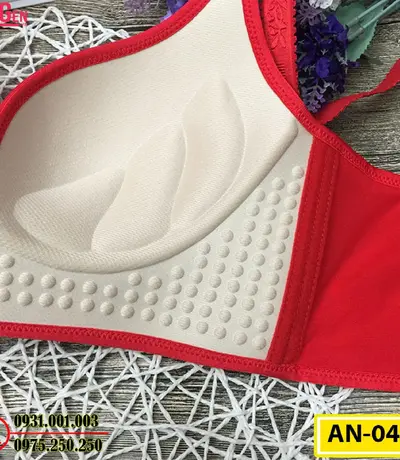 Áo Lót Ngực Cho Bạn Vòng Ngực Hoàn Hảo Cod: AN-046