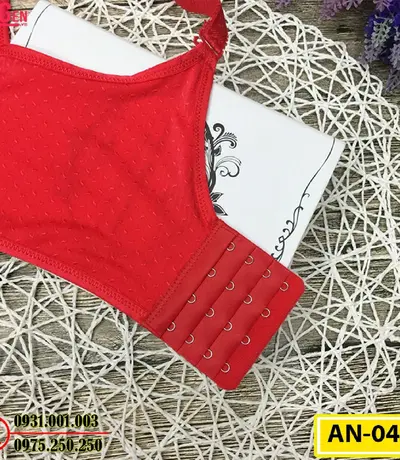 Áo Lót Ngực Cho Bạn Vòng Ngực Hoàn Hảo Cod: AN-046