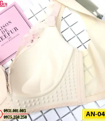 Áo Lót Nâng Ngực Cao Cấp AN-047