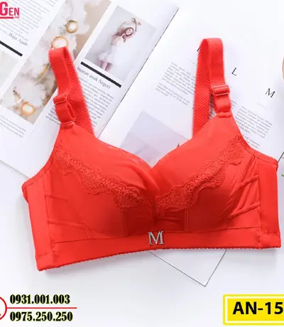 Áo Ngực Không Gọng Cao Cấp AN-155