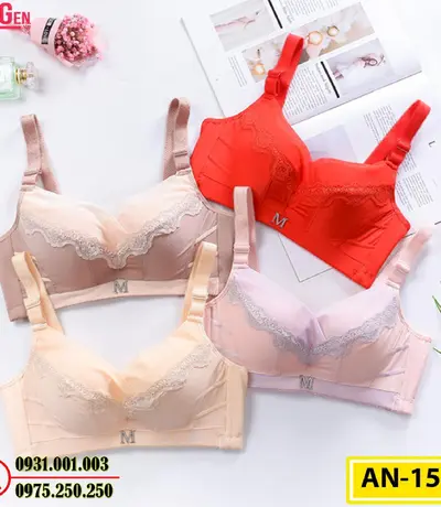 Áo Ngực Không Gọng Cao Cấp AN-155