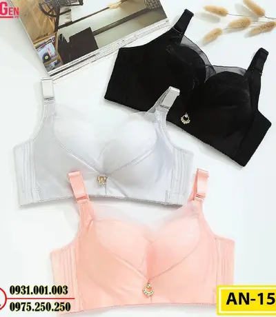 Áo Ngực Không Gọng Cao Cấp AN-156