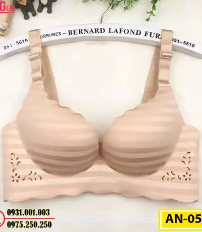 Áo Ngực Bản To Cao Cấp Cod: AN-052