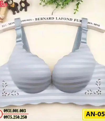 Áo Ngực Bản To Cao Cấp Cod: AN-052