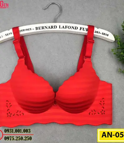 Áo Ngực Bản To Cao Cấp Cod: AN-052
