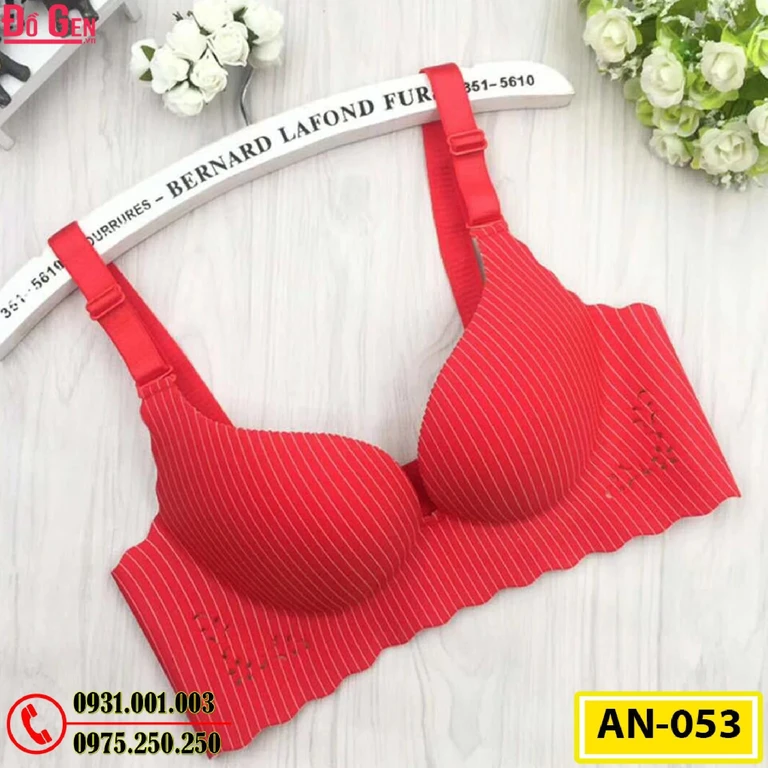 Áo Ngực Bản To Cao Cấp Cod: AN-053