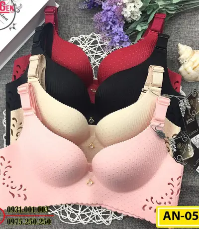 Áo Lót Ngực Cho Bạn Vòng Ngực Hoàn Hảo Cod: AN-055