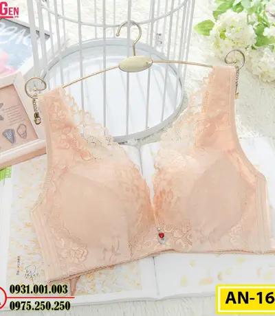 Áo Ngực Không Gọng Cao Cấp AN-162