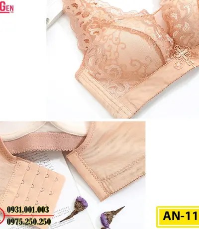 Áo Lót Ngực Ren Không Gọng AN-116