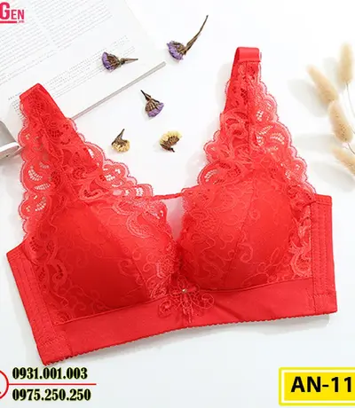 Áo Lót Ngực Ren Không Gọng AN-116