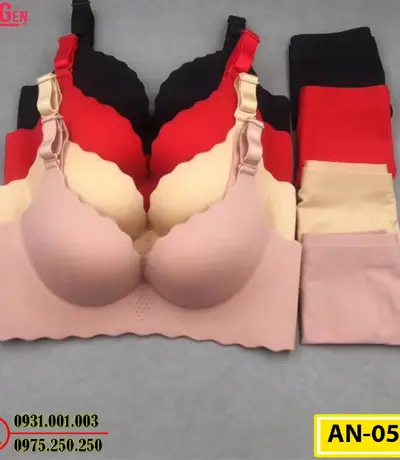 Áo Ngực Không Gọng Cao Cấp AN-056