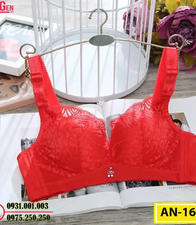 Áo Lót Ngực Ren Không Gọng AN-166