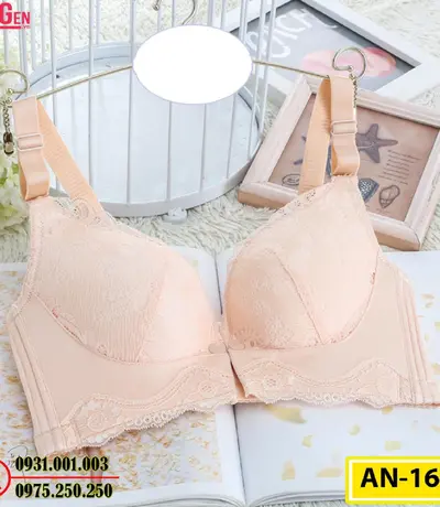 Áo Ngực Bản To Cao Cấp Cod: AN-168