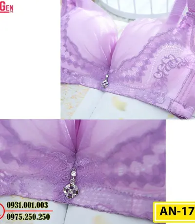 Áo Ngực Không Gọng Cao Cấp AN-170